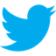 Twitter Bird Logo