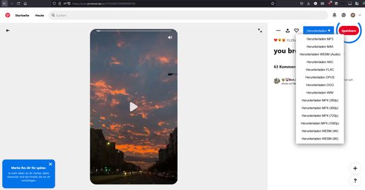 Pinterest video pin download button