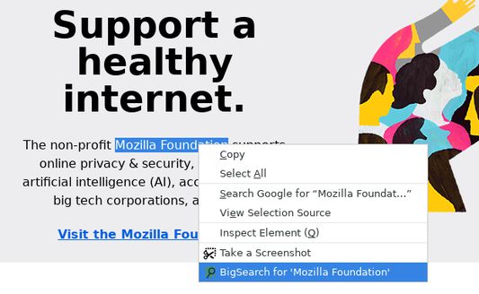 Use selected text on web as search term