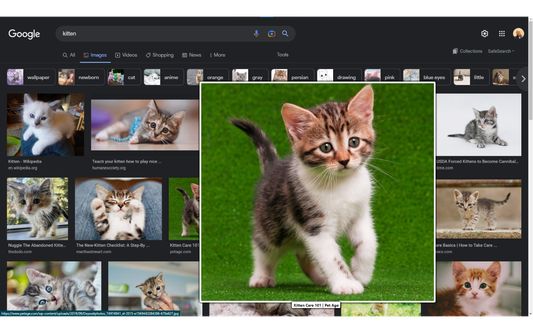 Ultra Zoom on Google Images