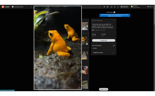 Ultra Zoom on Reddit