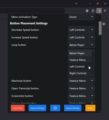 This screenshot shows the available options in the popup.