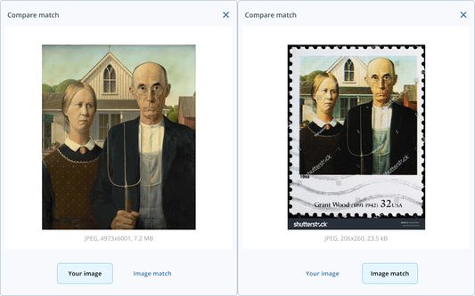 Use the 'Compare' feature to switch back and forth between the two images and highlight any differences between them.