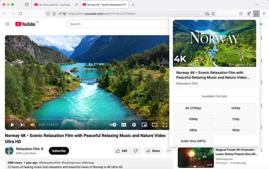 Download YouTube Videos in Stunning 4K Resolution – Fast and Easy!

Capture crystal-clear 4K videos from YouTube directly to your device. Enjoy seamless downloads with just one click using this powerful and free YouTube video downloader extension.