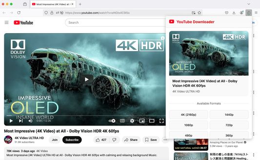 Explore the sleek and user-friendly interface of YouTube Video Downloader Plus, designed for seamless video and music downloads from platforms like YouTube, TikTok, and Facebook in just a few clicks!