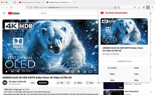 Choose from multiple download options with YouTube Video Downloader Plus, supporting up to 4K resolution and formats like MP4, MP3, and more for your convenience.