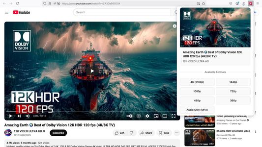 Download high-quality videos from Vimeo, Dailymotion, and more in 4K and HD. Convert videos easily with multi-format support.