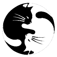 Ảnh đại diện người dùng